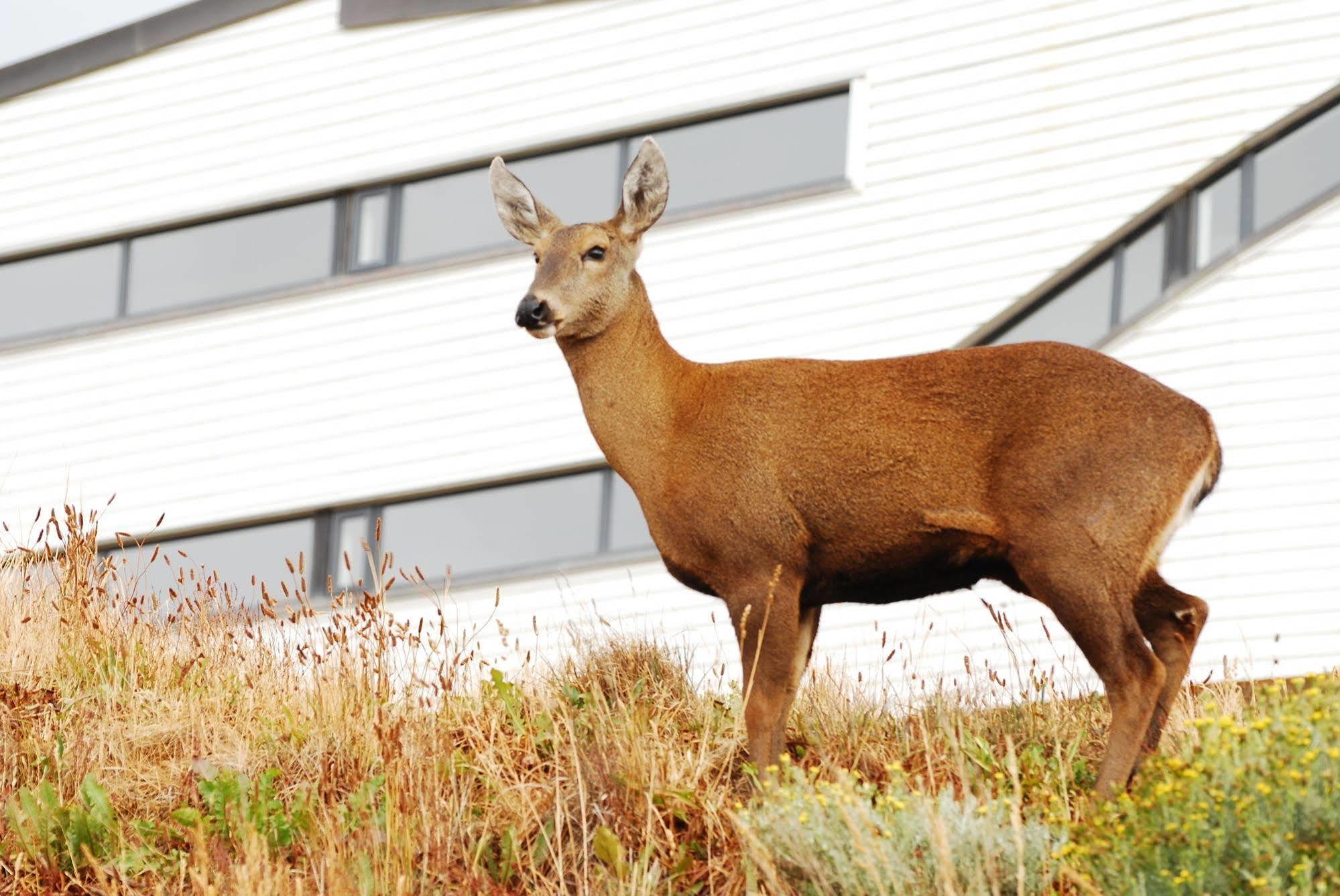 Explora En Torres Del Paine Villa Torres del Paine National Park ภายนอก รูปภาพ